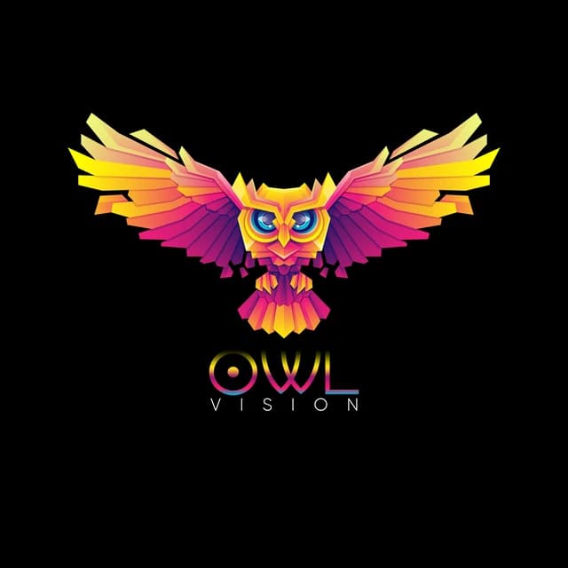 Owl Vision